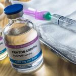 Kupte si Nembutal, kupte si pentobarbital sodn online