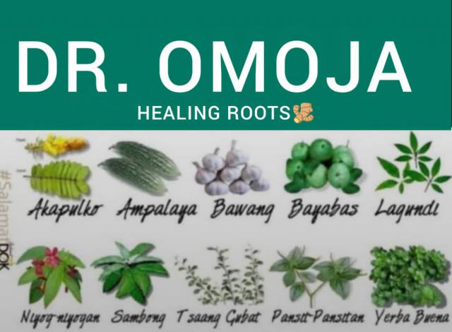 linný lék na všechny druhy nemocí a infekcí