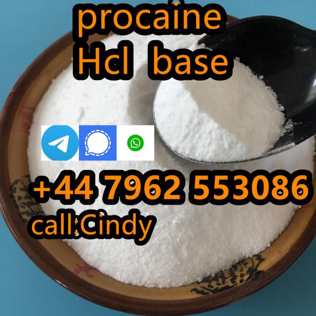 selling Procaine base CAS 59-46-1 /51-05-8 / procaine hcl and base sale Holland