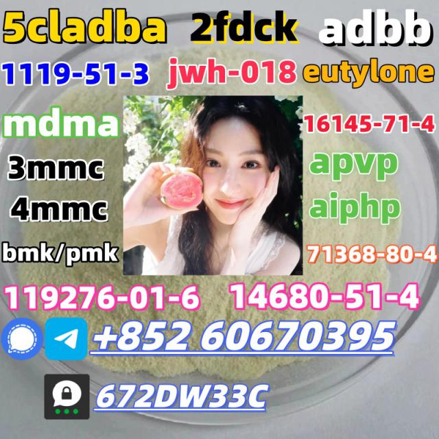 Safe delivery CAS 119276-01-6 China factory