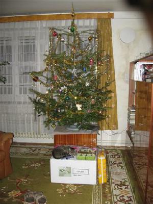 Lákavý stromeček