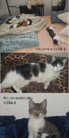 Xindlíkovská kronika - díl II