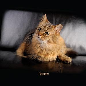 Před-Miouší doba