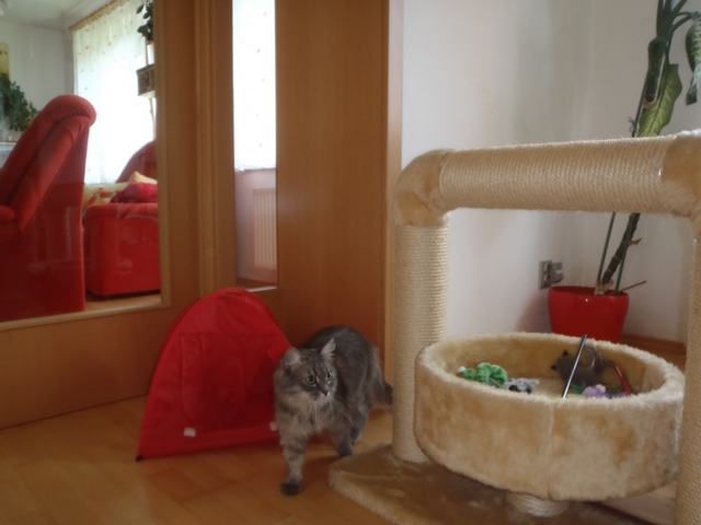 Jak jsme měli návštěvu, aneb jak mě přijely navštívit tetičky z MK – část II.