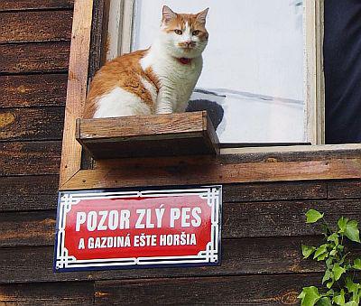 Matesovy zlaté časy