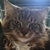 Maxík (3)