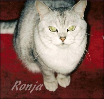 Ronja: Ronja