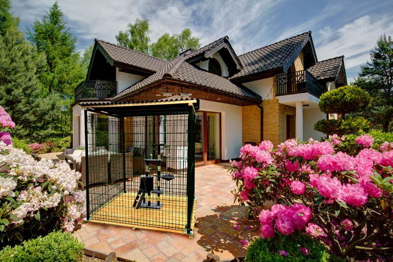 Ko�i�� voli�ra