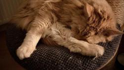  aktuln poloha prej kluka zruinuju finann.. zeeru teba jako 150 g granuli veterinrnch za den .)))