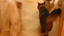 1/3 Uhodnete, kam vichni takhle svorn jdou?