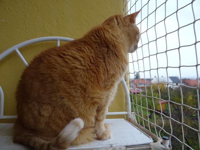 Jak to kal ten dda Komrek : " a ch..e a ch..e a ch..e." No nic , pjdu dom a zalezu do postele. Kluci u v n jsou.