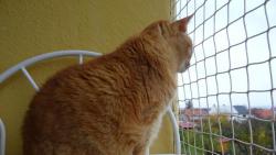 Jak to kal ten dda Komrek : " a ch..e a ch..e a ch..e." No nic , pjdu dom a zalezu do postele. Kluci u v n jsou.