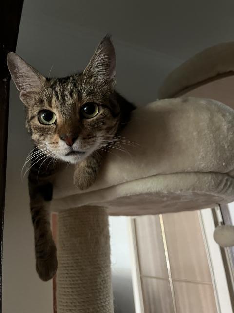 Volala si veee? A co se bude podvat? :-)