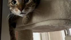 Volala si veee? A co se bude podvat? :-)