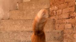 1/3 Do sklepa nem�me chodit, tak se sna��m splynout s okol�m.