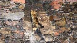 2/3 Jendo, j� si ale mysl�m, �e jsem takov� splynut�j��.