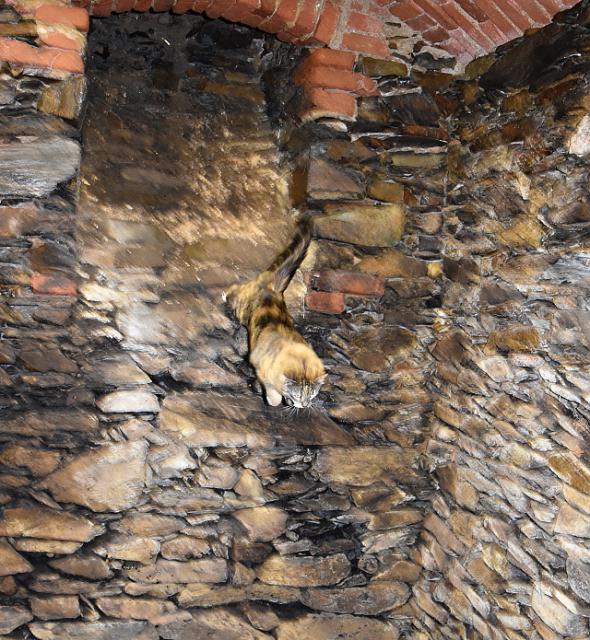 3/3 Ale u� rad�i let�m domu, p�� prej bude j�dlo.