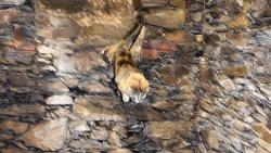 3/3 Ale u� rad�i let�m domu, p�� prej bude j�dlo.