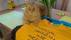 J� s tri�kem mal�ho p�n��ka