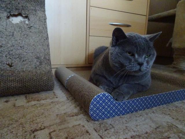 �krabadla jsou bezva, alespo� na nich budeme m�t v�c m�sta, kdy� se spoj� v jedno.