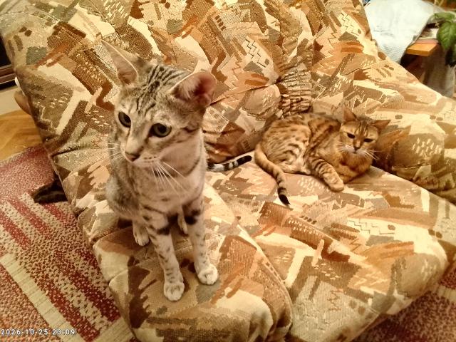 �elmice m� pravdu, je v tom je�t� o chlup lep�� ne� j�.
