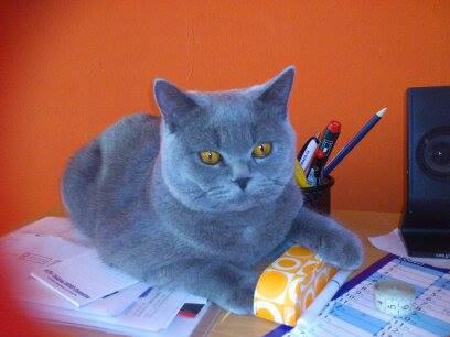 Fotka u koment��e