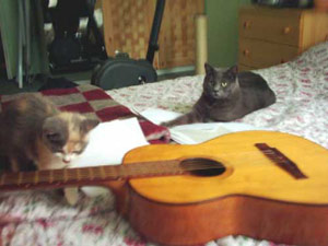 První lekce na kytaru