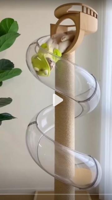 Mysl�te, �e by jako ko�ky se sklouzly.-))