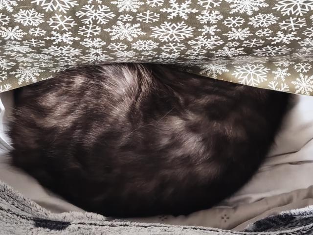 Kdo jsem? 14. prosince 2025