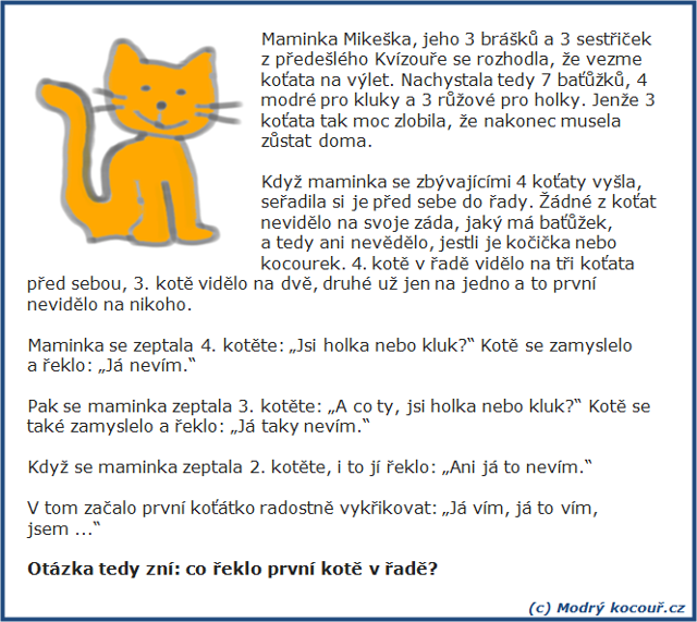 Kv�zou� 12: Ko�i�ka nebo kocourek?