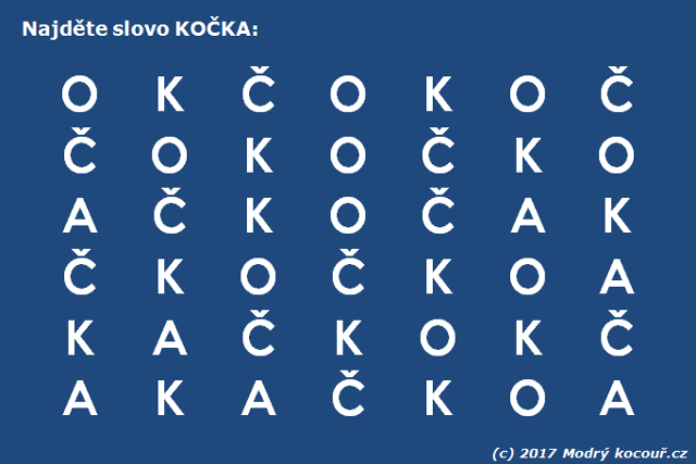 Kv�zou� 25: Najdi slovo ko�ka