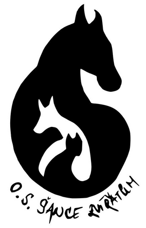 ance zvatm - logo