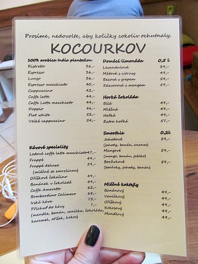 Koi kavrna Kocourkov, Olomouc / Cat caf