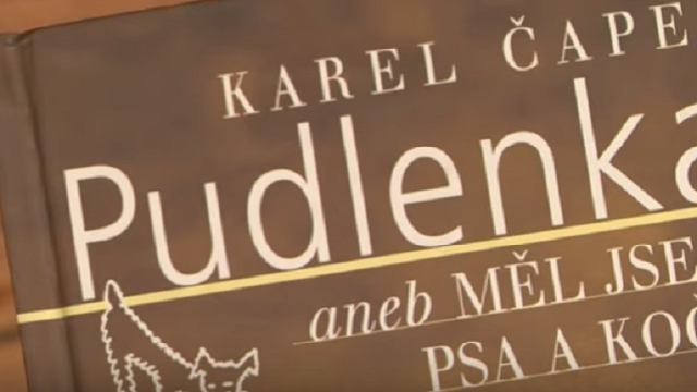 Recenze knihy - Karel apek: Pudlenka aneb Ml jsem psa a koku