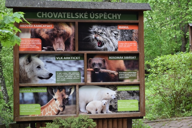 ZOO Brno - vkendov nvtva