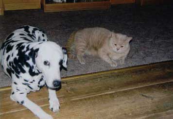 Dva ura�en�, kte�� to nech�pali