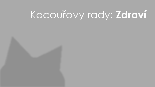 FIV - virus koi imunodeficience, koi aids